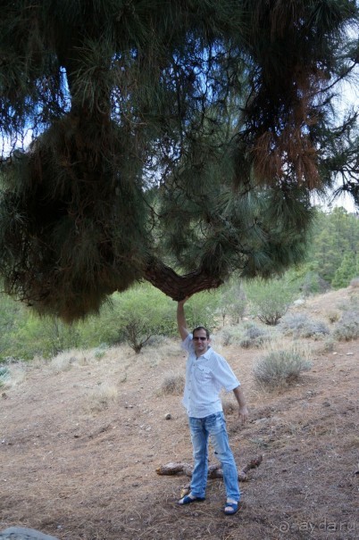 Прогулка по кратеру вулкана Тейде