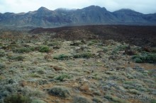 Прогулка по кратеру вулкана Тейде