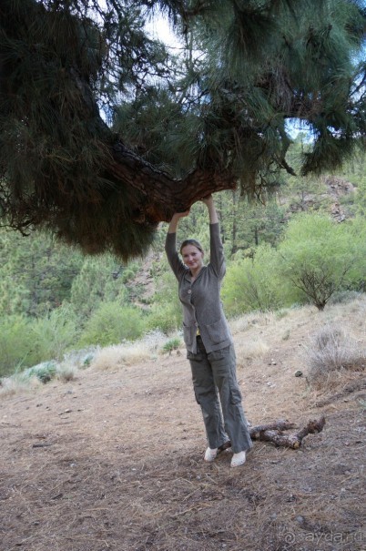 Прогулка по кратеру вулкана Тейде