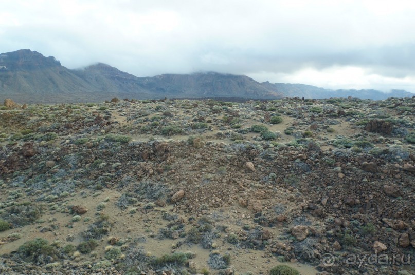 Прогулка по кратеру вулкана Тейде