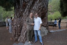 Прогулка по кратеру вулкана Тейде