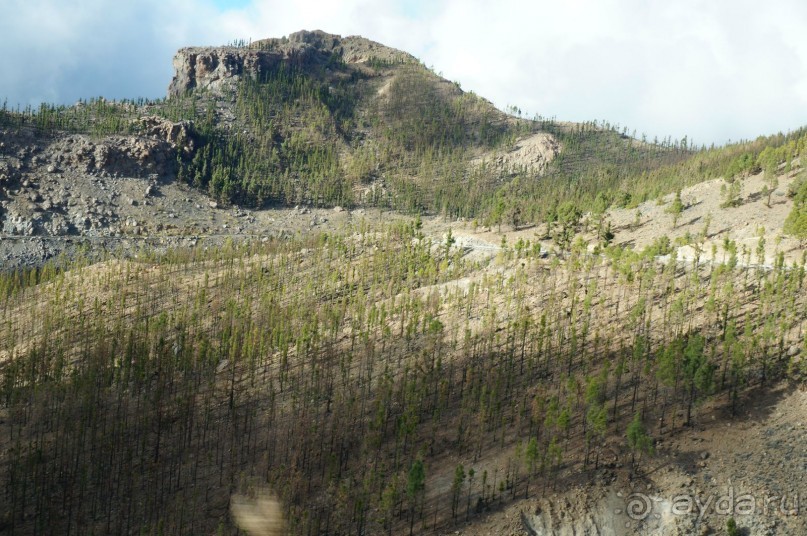 Прогулка по кратеру вулкана Тейде Прогулка по кратеру вулкана Тейде