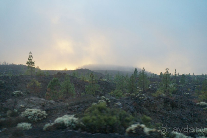 Прогулка по кратеру вулкана Тейде Прогулка по кратеру вулкана Тейде