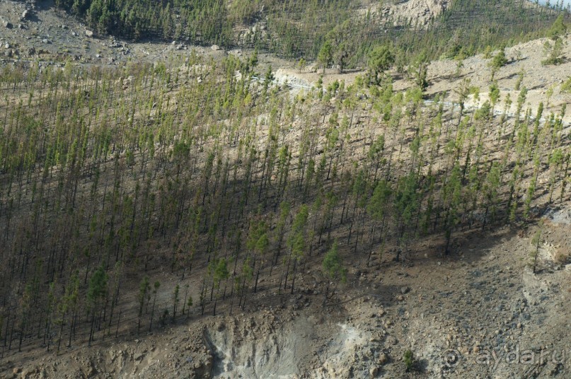 Прогулка по кратеру вулкана Тейде Прогулка по кратеру вулкана Тейде