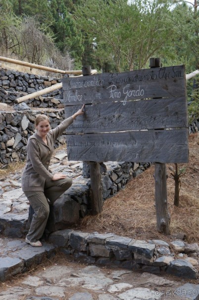 Прогулка по кратеру вулкана Тейде Прогулка по кратеру вулкана Тейде