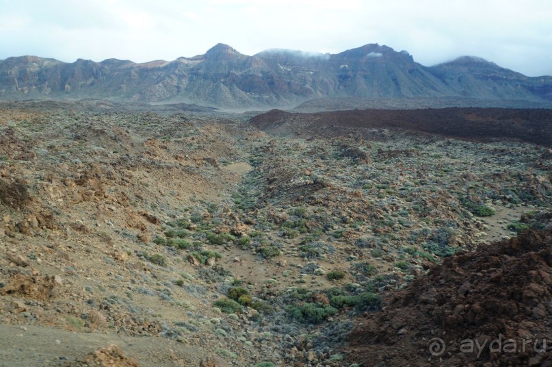 Прогулка по кратеру вулкана Тейде Прогулка по кратеру вулкана Тейде