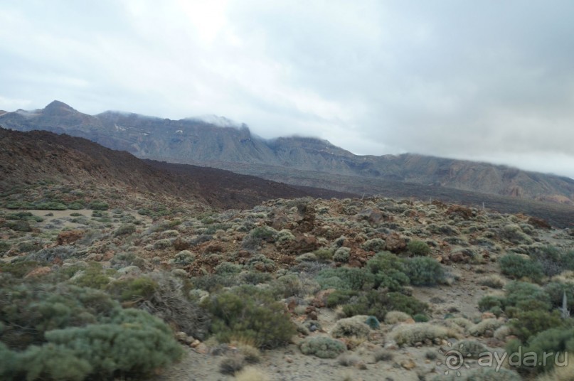 Прогулка по кратеру вулкана Тейде Прогулка по кратеру вулкана Тейде