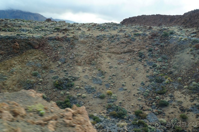 Прогулка по кратеру вулкана Тейде Прогулка по кратеру вулкана Тейде