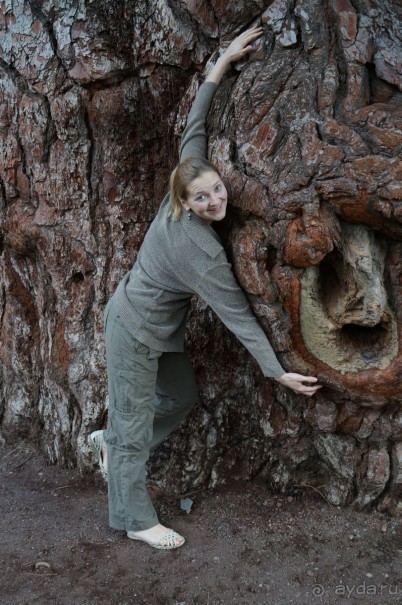 Прогулка по кратеру вулкана Тейде Прогулка по кратеру вулкана Тейде