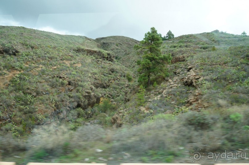 Прогулка по кратеру вулкана Тейде Прогулка по кратеру вулкана Тейде