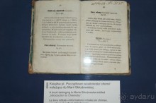 Дождливая Варшава