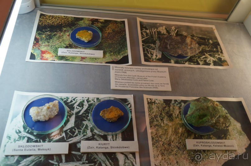 Дождливая Варшава