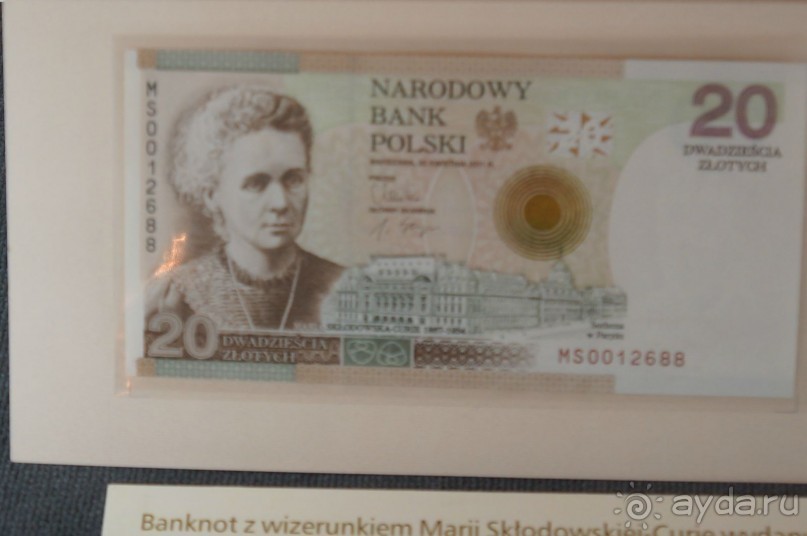 Дождливая Варшава