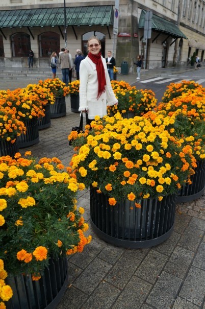 Дождливая Варшава