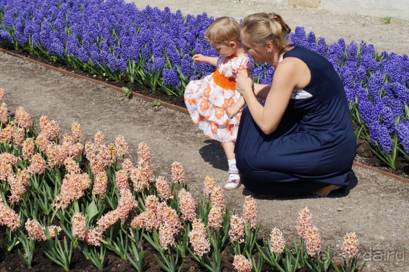 Усадьба Кусково в мае и октябре Усадьба Кусково в мае и октябре