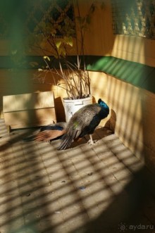 Усадьба Кусково в мае и октябре Усадьба Кусково в мае и октябре