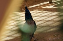 Усадьба Кусково в мае и октябре Усадьба Кусково в мае и октябре