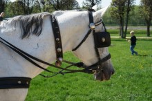 Усадьба Кусково в мае и октябре Усадьба Кусково в мае и октябре