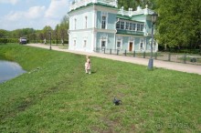Усадьба Кусково в мае и октябре Усадьба Кусково в мае и октябре