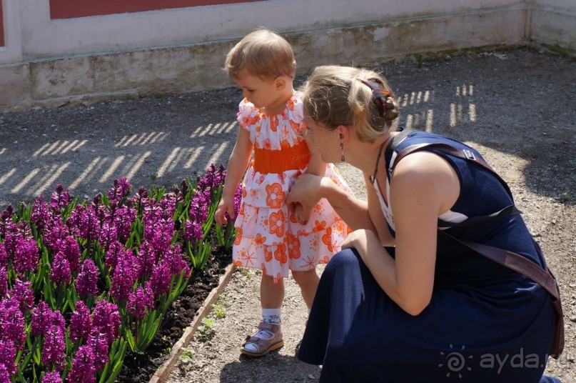 Усадьба Кусково в мае и октябре Усадьба Кусково в мае и октябре