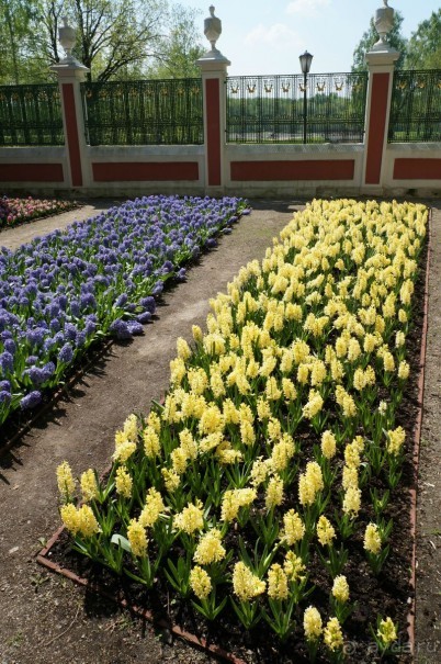 Усадьба Кусково в мае и октябре Усадьба Кусково в мае и октябре