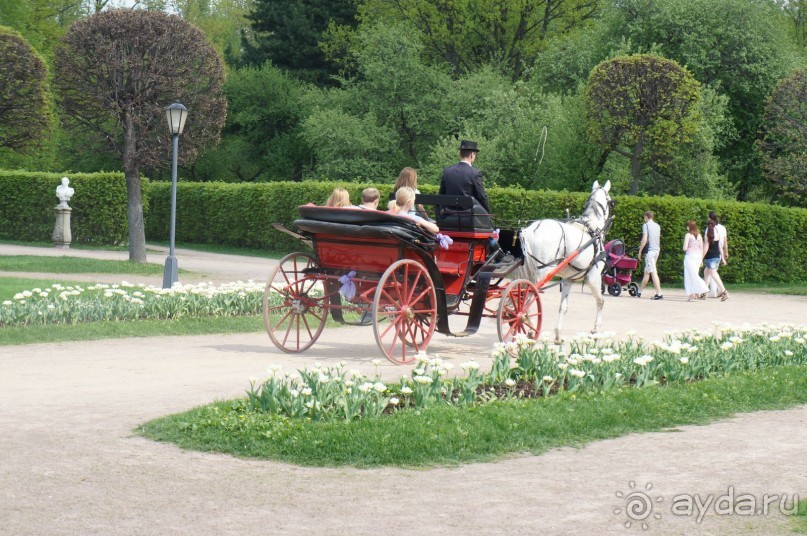 Усадьба Кусково в мае и октябре Усадьба Кусково в мае и октябре