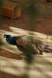 Усадьба Кусково в мае и октябре Усадьба Кусково в мае и октябре