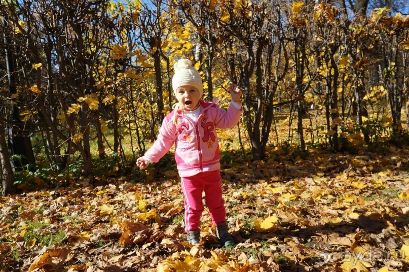 Усадьба Кусково в мае и октябре