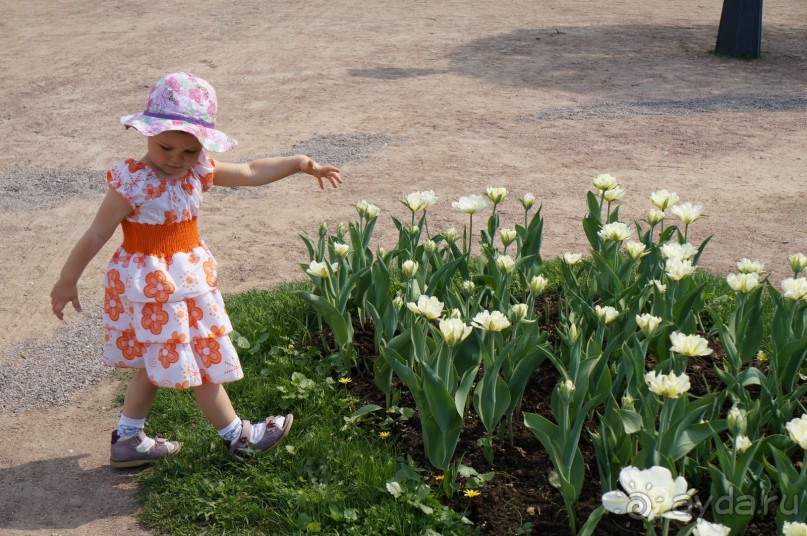 Усадьба Кусково в мае и октябре Усадьба Кусково в мае и октябре