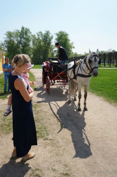 Усадьба Кусково в мае и октябре