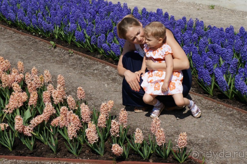 Усадьба Кусково в мае и октябре Усадьба Кусково в мае и октябре