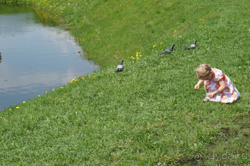Усадьба Кусково в мае и октябре Усадьба Кусково в мае и октябре