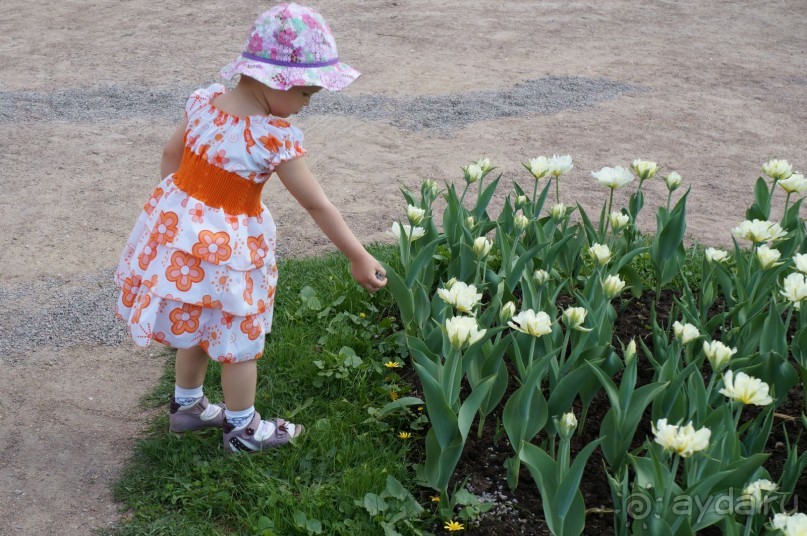 Усадьба Кусково в мае и октябре Усадьба Кусково в мае и октябре