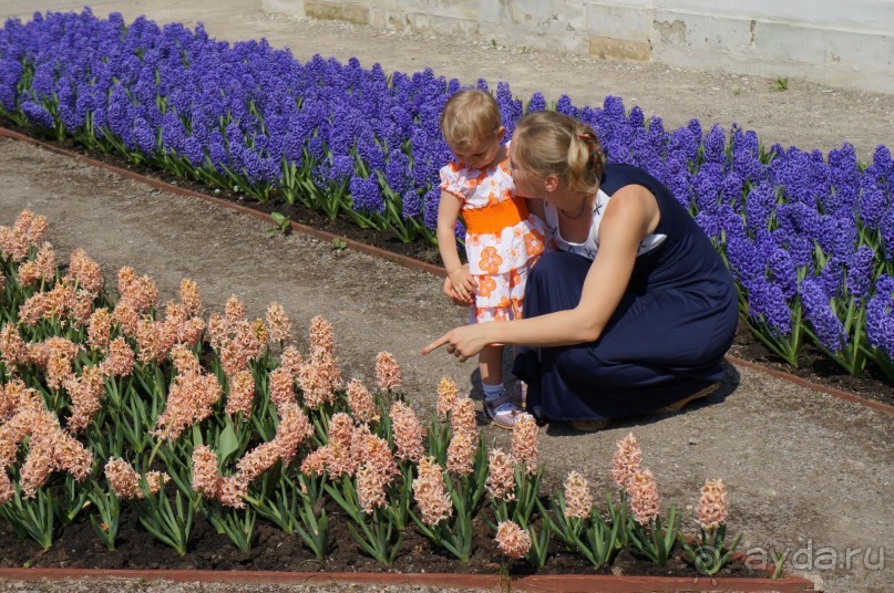 Усадьба Кусково в мае и октябре