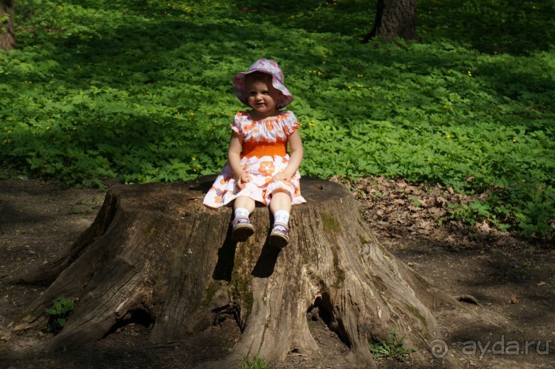 Усадьба Кусково в мае и октябре Усадьба Кусково в мае и октябре