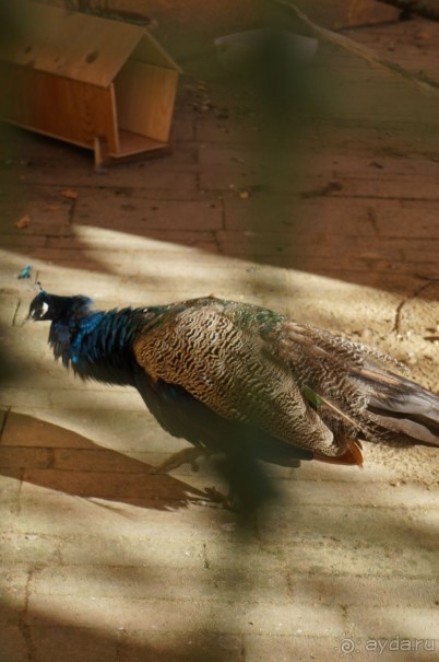 Усадьба Кусково в мае и октябре