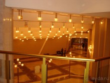 "Золотые мозги" России