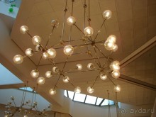 "Золотые мозги" России