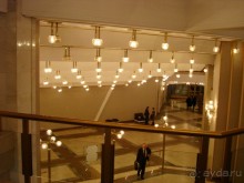 "Золотые мозги" России