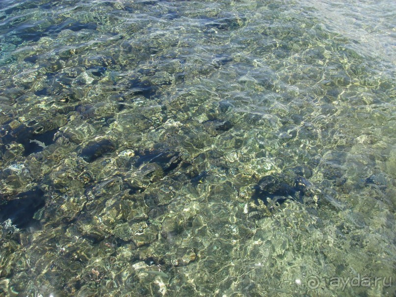 Немного о Шарм-эль-Шейхе