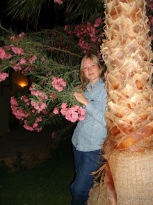 Немного о Шарм-эль-Шейхе