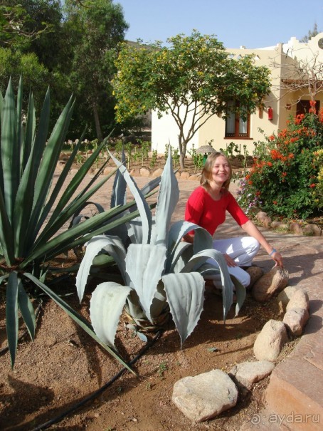 Немного о Шарм-эль-Шейхе