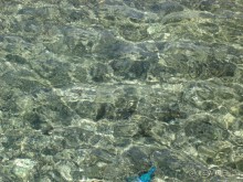 Немного о Шарм-эль-Шейхе