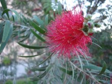 Альбом отзыва "Немного о Шарм-эль-Шейхе"