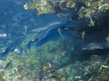 Немного о Шарм-эль-Шейхе