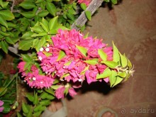 Немного о Шарм-эль-Шейхе