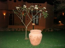 Альбом отзыва "Немного о Шарм-эль-Шейхе"