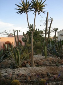 Альбом отзыва "Немного о Шарм-эль-Шейхе"