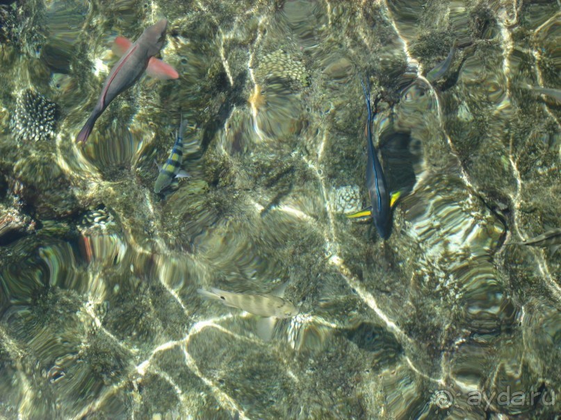 Немного о Шарм-эль-Шейхе