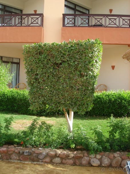 Немного о Шарм-эль-Шейхе